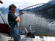 Predator Charters - Skipper Netting Your Catch